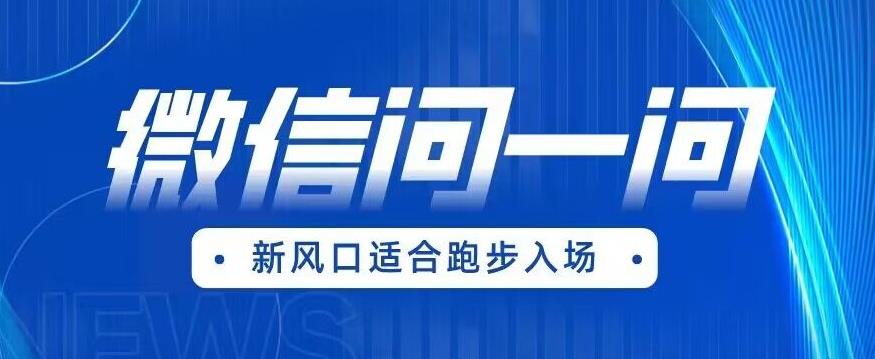 全网首发微信问一问新风口变现项目（价值1999元）【揭秘】-副业资源站 | 数域行者
