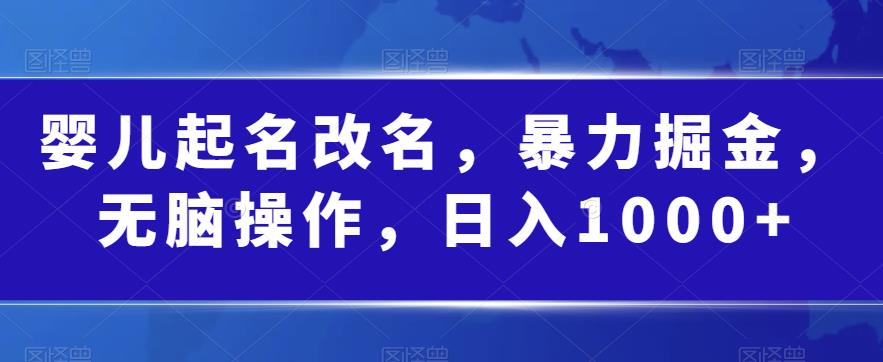 婴儿起名改名，暴力掘金，无脑操作，日入1000+【揭秘】-副业资源站 | 数域行者