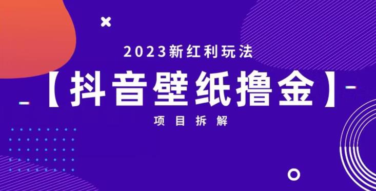 抖音壁纸小程序创作者撸金项目，2023新红利玩法【项目拆解】-副业资源站 | 数域行者