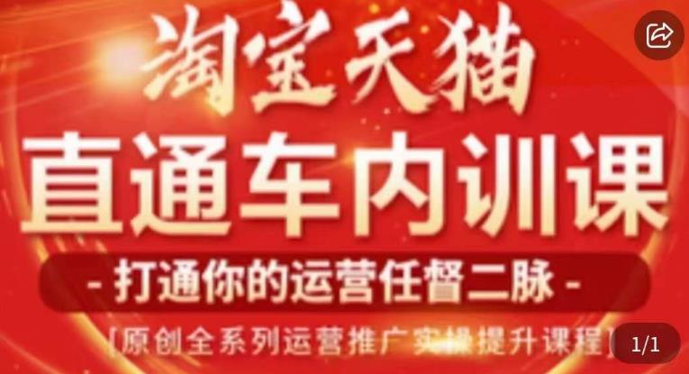 天问电商·2023淘宝天猫直通车内训课，零基础学起直通车运营实操课程-副业资源站 | 数域行者