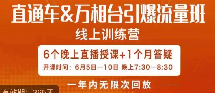 直通车&万相台引爆流量班，6天打通你开直通车·万相台的任督二脉-副业资源站 | 数域行者