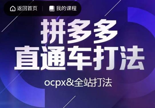 互力·拼多多直通车打法，ocpx&全站打法-副业资源站 | 数域行者