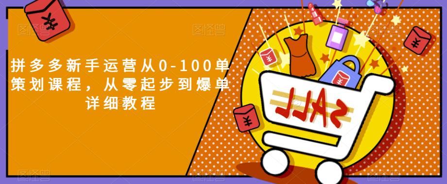 拼多多新手运营从0-100单策划课程，从零起步到爆单详细教程-副业资源站 | 数域行者