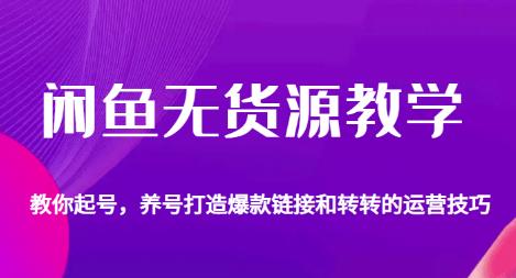 闲鱼无货源教学，教你起号，养号打造爆款链接以及转转的运营技巧-副业资源站 | 数域行者