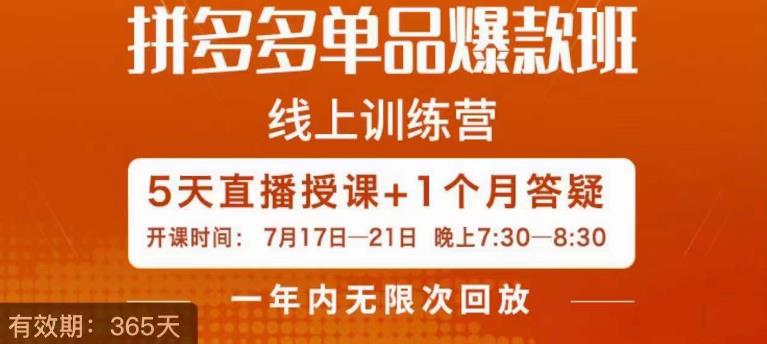 钟辰·拼多多单品爆款班，一个拼多多超级爆款养一个团队-副业资源站 | 数域行者