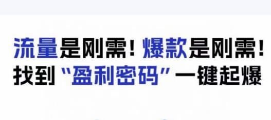 电商盈利精品课：6大盈利密码让产品更好卖，流量是刚需！爆款是刚需！找到”盈利密码”一键起爆-副业资源站 | 数域行者