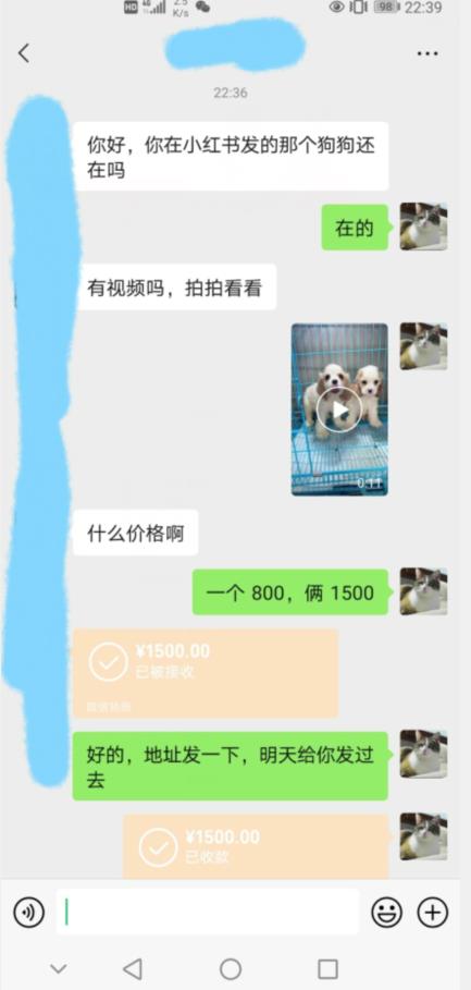 外边收费3980的同城萌宠项目，用最冷门的玩法冲击最热门的市场【揭秘】-副业资源站 | 数域行者