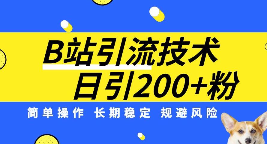 B站引流技术：每天引流200精准粉，简单操作，长期稳定，规避风险-副业资源站 | 数域行者