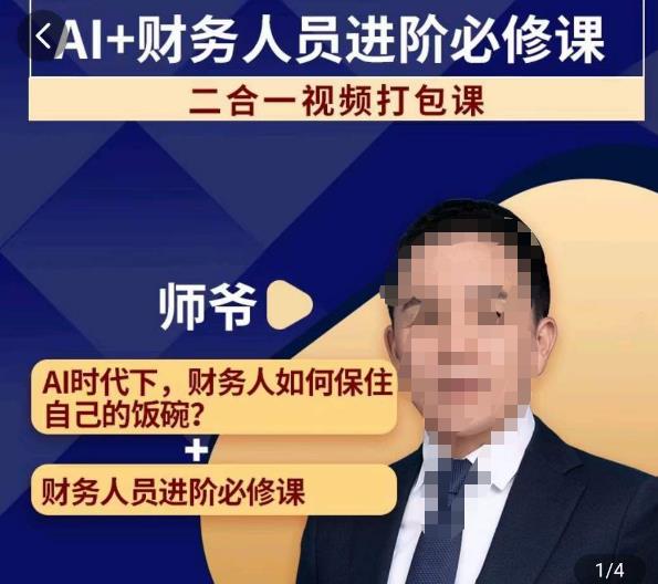 AI+财务人员进阶必修课二合一视频打包课，财务人员进阶必修课-副业资源站 | 数域行者