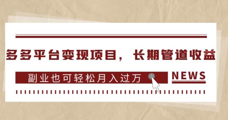 多多平台变现项目，长期管道收益，副业也可轻松月入过万-副业资源站 | 数域行者