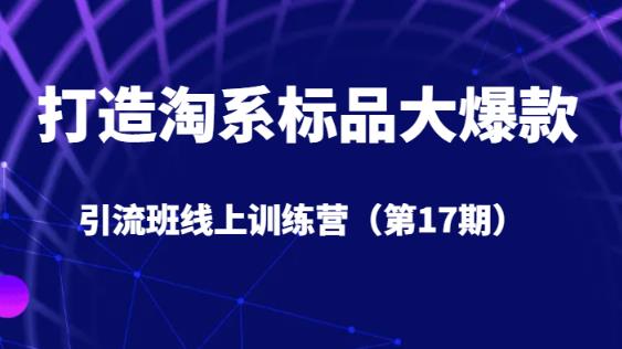 打造淘系标品大爆款引流班线上训练营（第17期）5天直播授课-副业资源站 | 数域行者