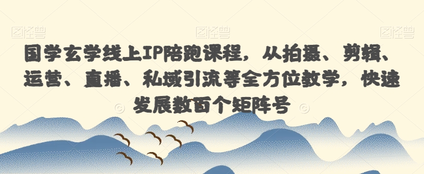 国学玄学线上IP陪跑课程，从拍摄、剪辑、运营、直播、私域引流等全方位教学，快速发展数百个矩阵号-副业资源站 | 数域行者