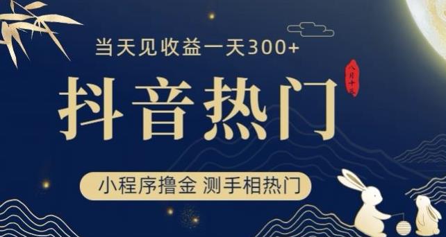 抖音最新小程序撸金，测手相上热门，当天见收益一小时变现300+【揭秘】-副业资源站 | 数域行者