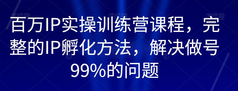 百万IP实操训练营课程，完整的IP孵化方法，解决做号99%的问题-副业资源站 | 数域行者
