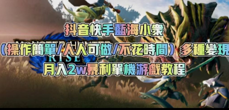 抖音快手蓝海小众（操作简单人人可做不花时间）多种变现月入2w＋暴利单机游戏教程-副业资源站 | 数域行者