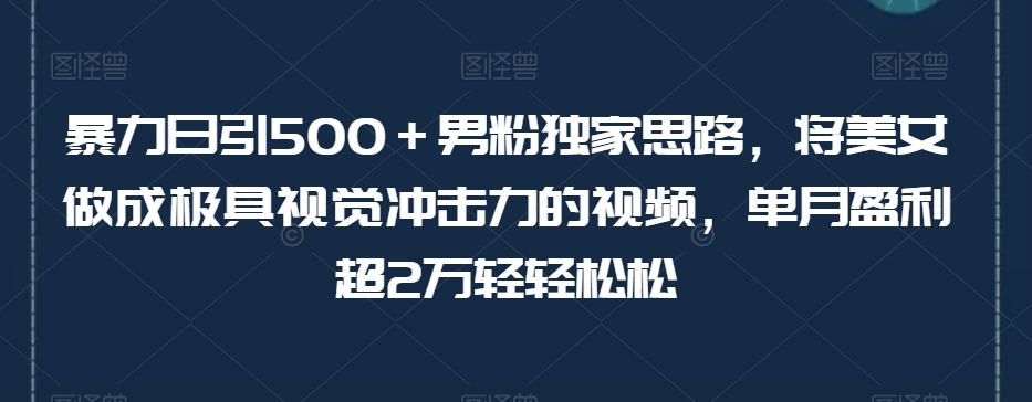 暴力日引500＋男粉独家思路，将美女做成极具视觉冲击力的视频，单月盈利超2万轻轻松松-副业资源站 | 数域行者