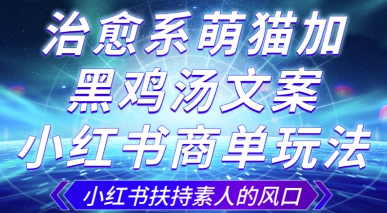 治愈系萌猫加+黑鸡汤文案，小红书商单玩法，3~10天涨到1000粉，一单200左右-副业资源站 | 数域行者