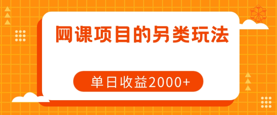 网课项目的另类玩法，单日收益2000+【揭秘】-副业资源站 | 数域行者