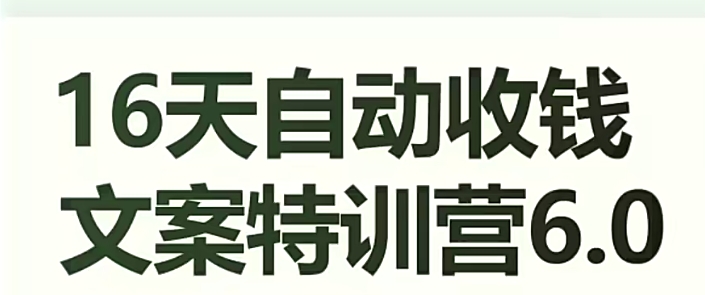 16天自动收钱文案特训营6.0，学会儿每天自动咔咔收钱-副业资源站 | 数域行者