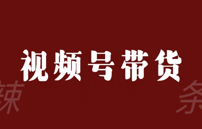 视频号带货联盟，赚信息差的带货钱，只需手机随时随地都可以做！-副业资源站 | 数域行者