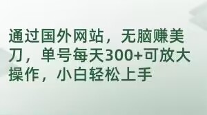通过国外网站，无脑赚美刀，单号每天300+可放大操作，小白轻松上手【揭秘】-副业资源站 | 数域行者