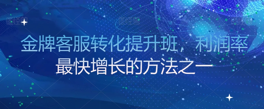 金牌客服转化提升班，利润率最快增长的方法之一-副业资源站 | 数域行者