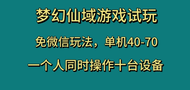 梦幻仙域游戏试玩，免微信玩法，单机40-70，一个人同时操作十台设备【揭秘】-副业资源站 | 数域行者