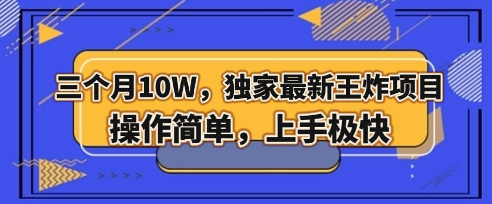 三个月10W，独家最新王炸项目！操作简单，上手极快【揭秘】-副业资源站 | 数域行者