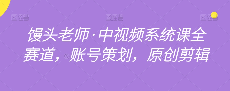 馒头老师·中视频系统课全赛道，账号策划，原创剪辑-副业资源站 | 数域行者