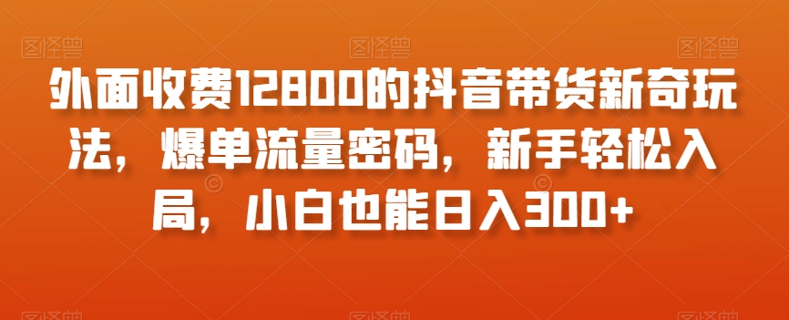 外面收费12800的抖音带货新奇玩法，爆单流量密码，新手轻松入局，小白也能日入300+【揭秘】-副业资源站 | 数域行者
