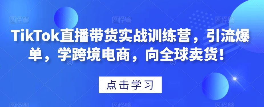 TikTok直播带货实战训练营，引流爆单，学跨境电商，向全球卖货！-副业资源站 | 数域行者