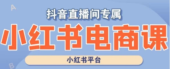 小红书电商高级运营课程，实操教学+案例分析-副业资源站 | 数域行者