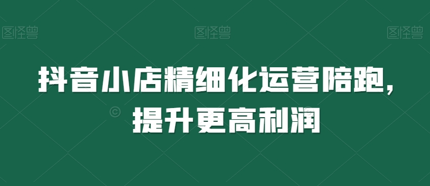 抖音小店精细化运营陪跑，提升更高利润-副业资源站 | 数域行者
