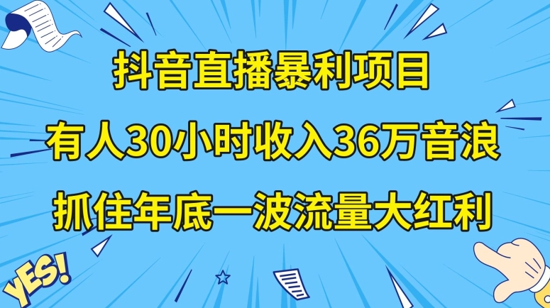 抖音直播暴利项目，有人30小时收入36万音浪，公司宣传片年会视频制作，抓住年底一波流量大红利【揭秘】-副业资源站 | 数域行者