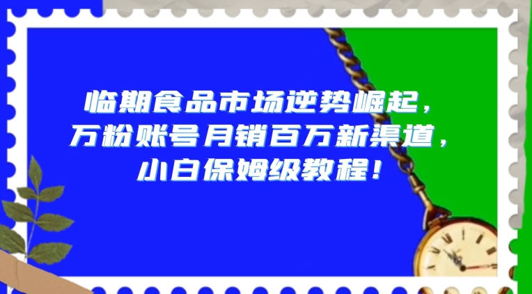 临期食品市场逆势崛起，万粉账号月销百万新渠道，小白保姆级教程【揭秘】-副业资源站 | 数域行者