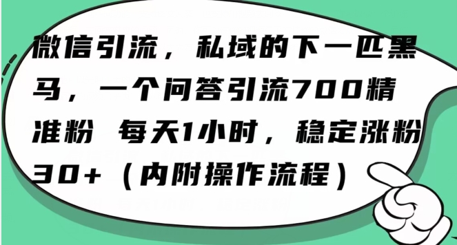 怎么搞精准创业粉？微信新赛道，每天一小时，利用Ai一个问答日引100精准粉-副业资源站 | 数域行者