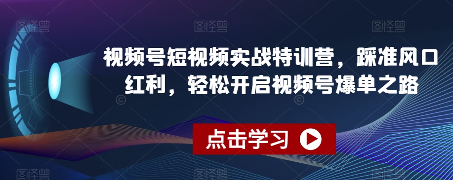 视频号短视频实战特训营，踩准风口红利，轻松开启视频号爆单之路-副业资源站 | 数域行者