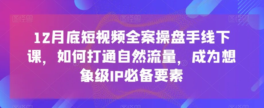 12月底短视频全案操盘手线下课，如何打通自然流量，成为想象级IP必备要素-副业资源站 | 数域行者