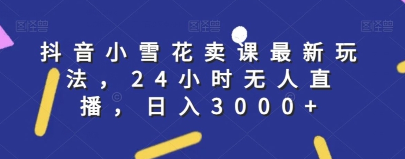 抖音小雪花卖课最新玩法，24小时无人直播，日入3000+【揭秘】-副业资源站 | 数域行者