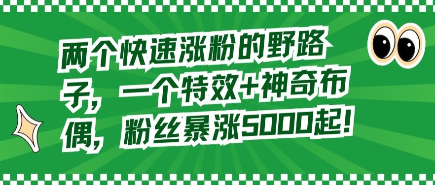两个快速涨粉的野路子，一个特效+神奇布偶，粉丝暴涨5000起【揭秘】-副业资源站 | 数域行者