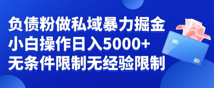 负债粉私域暴力掘金，小白操作入5000，无经验限制，无条件限制【揭秘】-副业资源站 | 数域行者