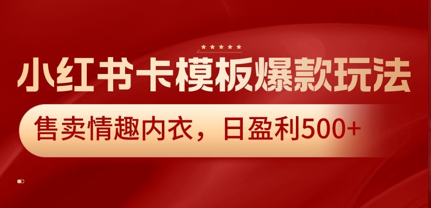小红书卡模板爆款玩法，售卖情趣内衣，日盈利500+【揭秘】-副业资源站 | 数域行者
