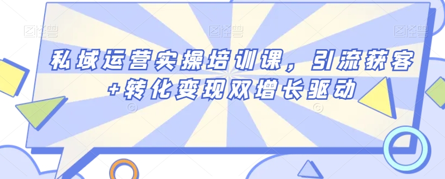 私域运营实操培训课，引流获客+转化变现双增长驱动-副业资源站 | 数域行者