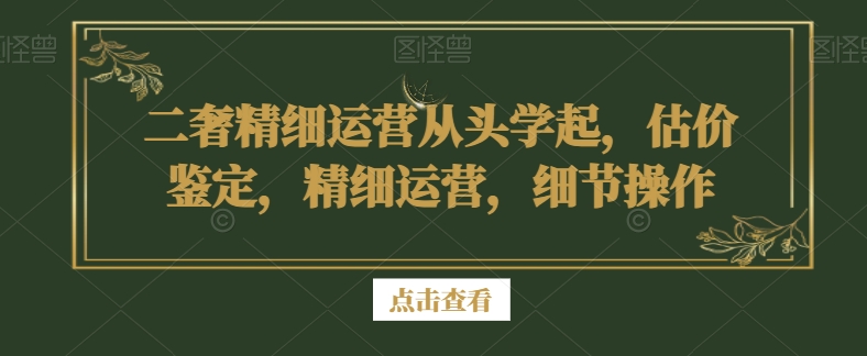 二奢精细运营从头学起，估价鉴定，精细运营，细节操作-副业资源站 | 数域行者