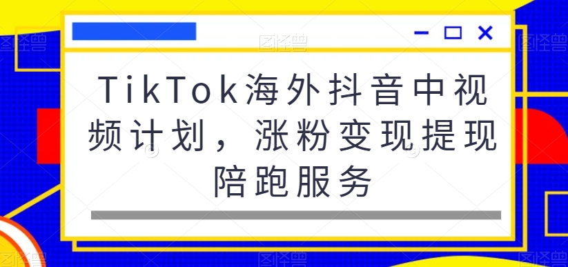 TikTok海外抖音中视频计划，涨粉变现提现陪跑服务-副业资源站 | 数域行者