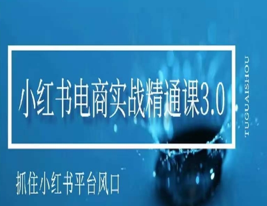 小红书电商实战精通课3.0，抓住小红书平台的风口，不错过有一个赚钱的机会-副业资源站 | 数域行者