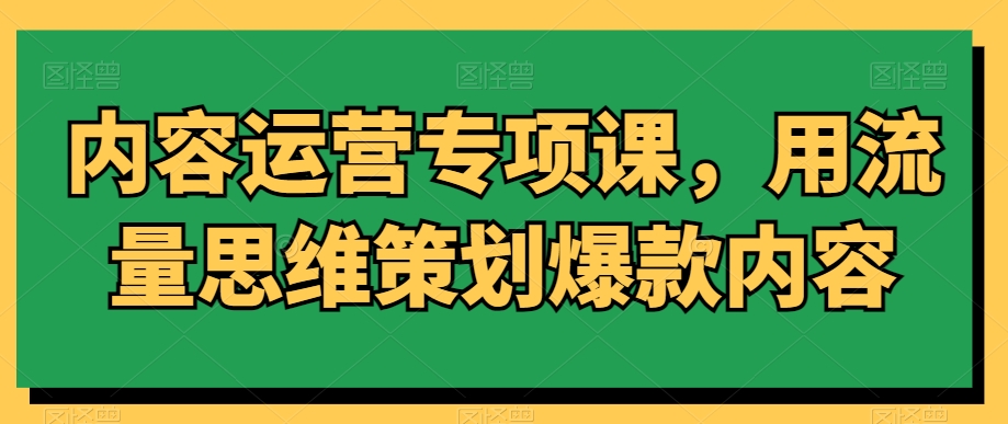 内容运营专项课，用流量思维策划爆款内容-副业资源站 | 数域行者