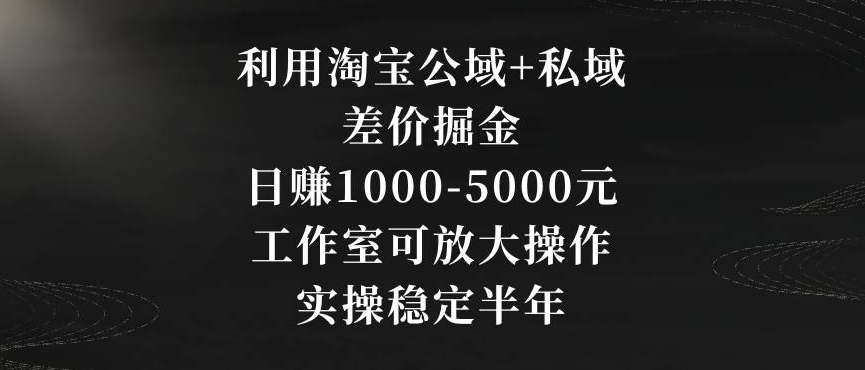 利用淘宝公域+私域差价掘金，日赚1000-5000元，工作室可放大操作，实操稳定半年【揭秘】-副业资源站 | 数域行者
