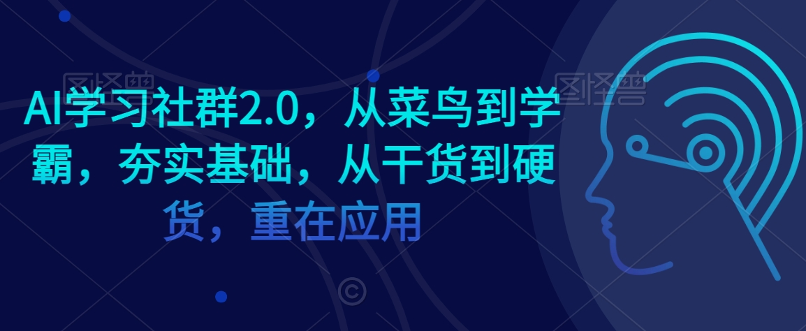 AI学习社群2.0，从菜鸟到学霸，夯实基础，从干货到硬货，重在应用-副业资源站 | 数域行者