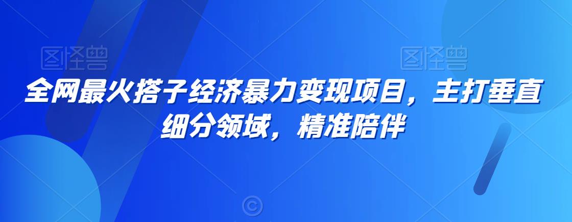全网最火搭子经济暴力变现项目，主打垂直细分领域，精准陪伴【揭秘】-副业资源站 | 数域行者